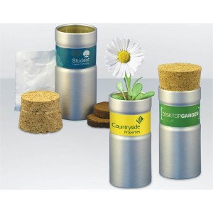 Desktop Sunflower Tube