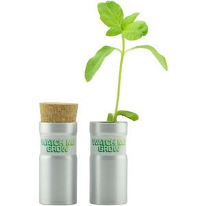 Desktop Garden