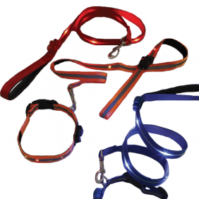 Illuminated Dog Lead and Collar