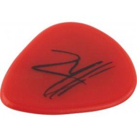 Plectrum