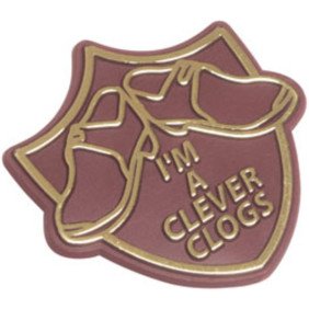 Shaped Plastic Badge