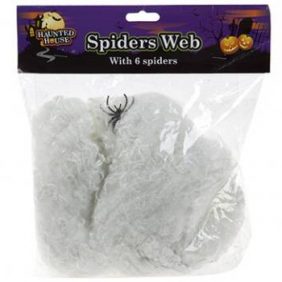 Spiders Web with 6 Spiders