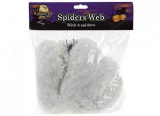 Spiders Web with 6 Spiders