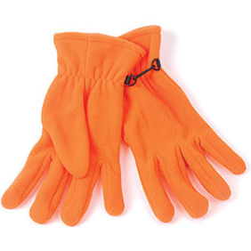 Winter Gloves