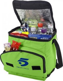 Foldable cooler bag