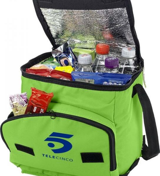Foldable cooler bag