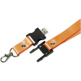 Lanyard with USB