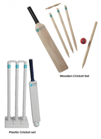 Wooden or Plastic Cricket Set