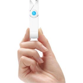 Lightweight dual charger