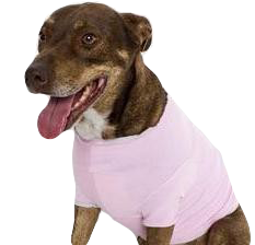 Pink Dog T-shirt