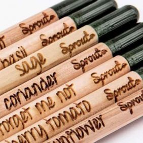 Sprout Pencil