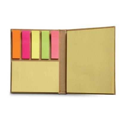 Sticky Notes in a Recycled Carton