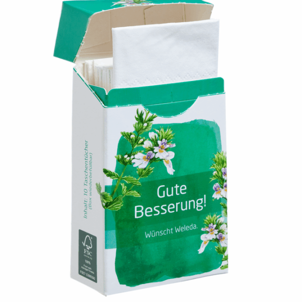 Pocket Tissue Box