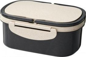 Wheat straw lunch box