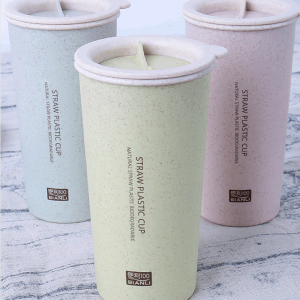 Wheat Straw Double Walled Cup