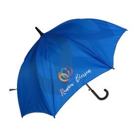 Executive Walker Double Canopy