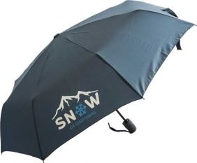 The TeleMatic Umbrella