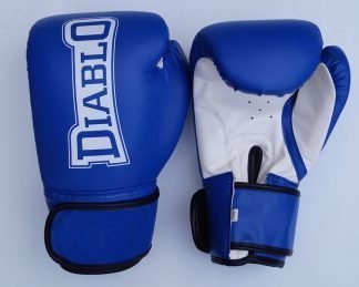 Branded Blue Boxing Gloves