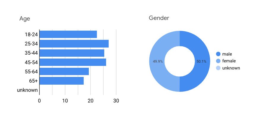 Survey demographics stats by age and gender