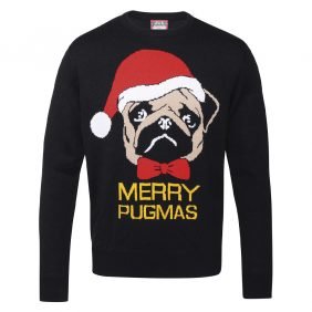 Pug Jumper for Christmas