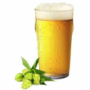 Why Use Nucleated Beer Glasses? Learn Why! - Beer Glass Hopper