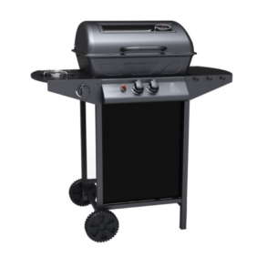 gas bbq with 2 burners