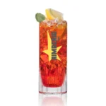 Premium Hi Ball Glass with Custom Logo