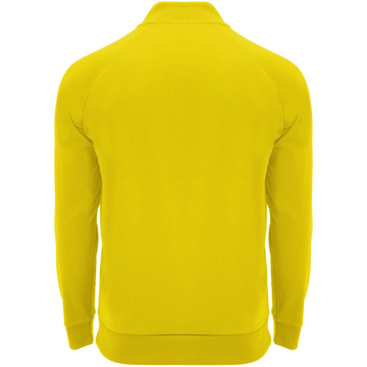 Epiro long sleeve unisex quarter zip sweatshirt – Yellow back view