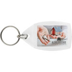 Access P5 keychain – Transparent clear extra view