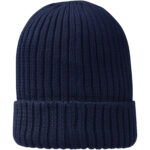 Ives organic beanie – Navy back view