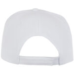 Hades 5 panel cap – White back view