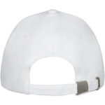 Doyle 5 panel cap – White back view