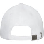 Davis 6 panel cap – White back view