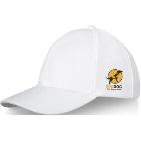 Drake 6 panel trucker cap – White with logo