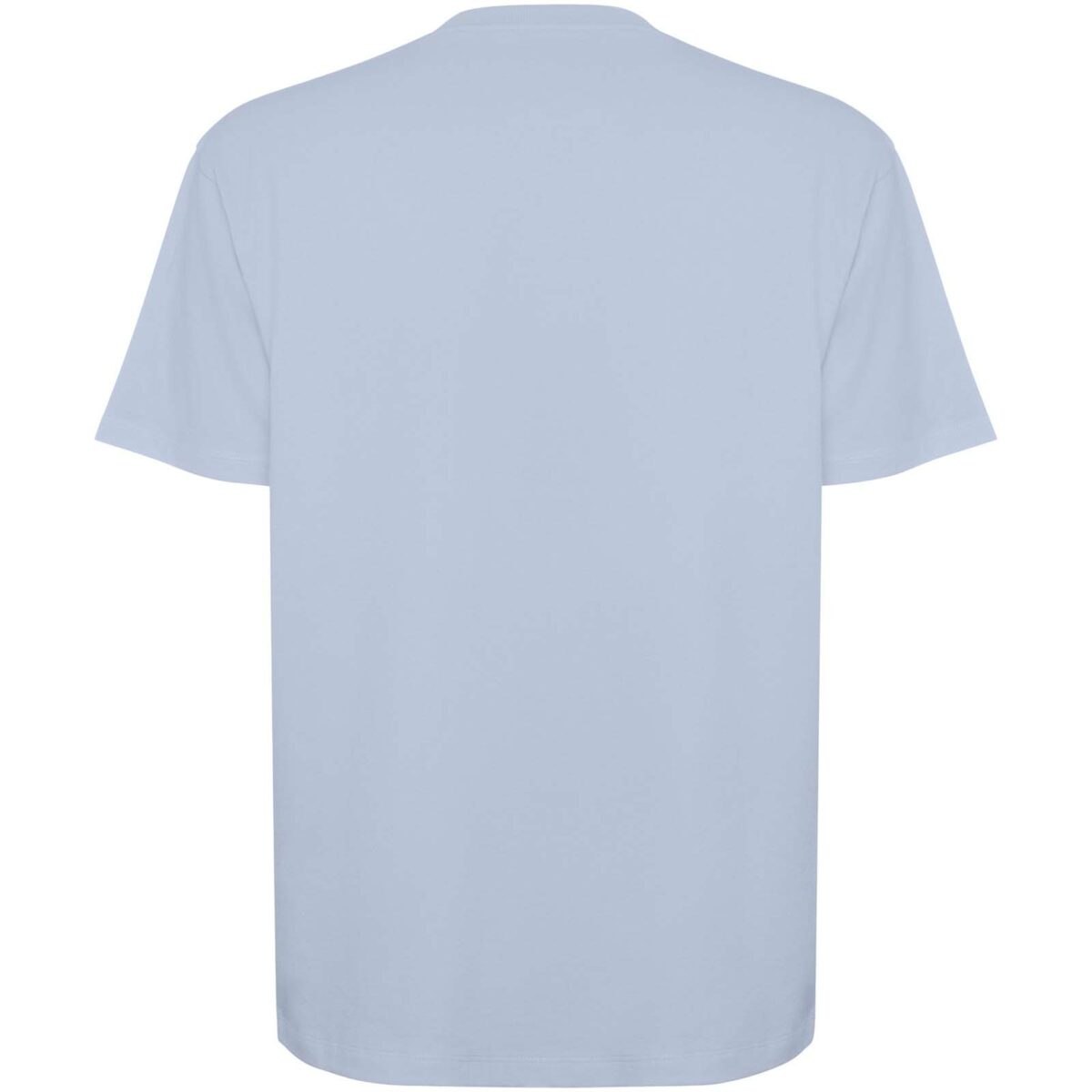 Bull short sleeve unisex oversized t-shirt – Zen Blue back view