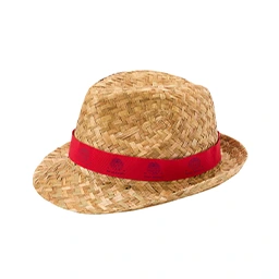 Custom Promotional Hats