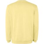 Jaya unisex crewneck sweater – Yellow back view