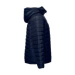 Promotional Navy blue THC SHIELD b