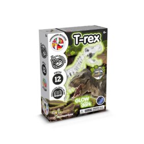 Custom logo Fossil Excavation Kit I