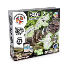 Custom logo 2 in 1 Fossil Excavation Kit I