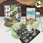 Promotional Assorted 2 in 1 Fossil Excavation Kit I b