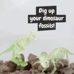 Promotional Assorted 2 in 1 Fossil Excavation Kit I c