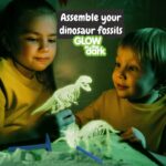 Promotional Assorted 2 in 1 Fossil Excavation Kit I d