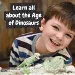 Promotional Assorted 2 in 1 Fossil Excavation Kit I e