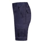 Promotional Blue VL HEBE b