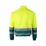 Promotional Green/Yellow VL NEPTUNE a