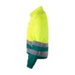 Promotional Green/Yellow VL NEPTUNE b