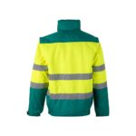 Promotional Green/Yellow VL JUPITER a