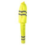 Promotional Hexachrome yellow VL VENUS b