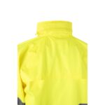 Promotional Hexachrome yellow VL VENUS c